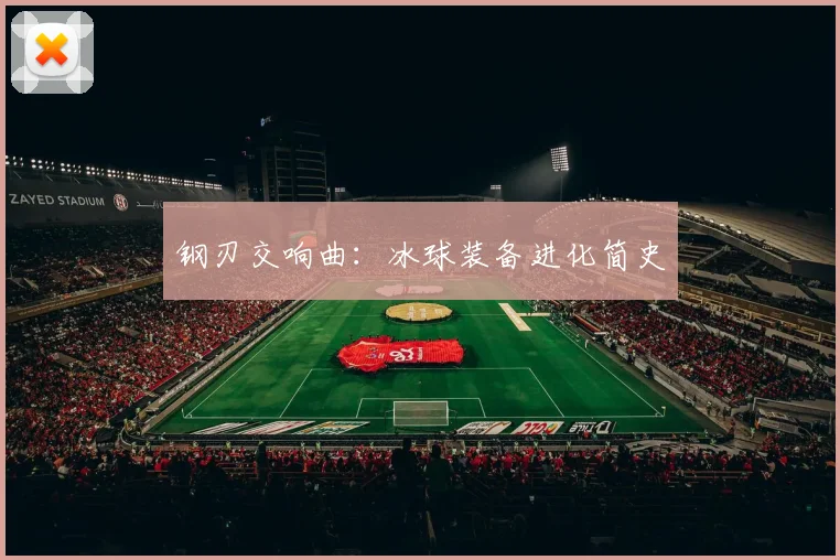 钢刃交响曲：冰球装备进化简史