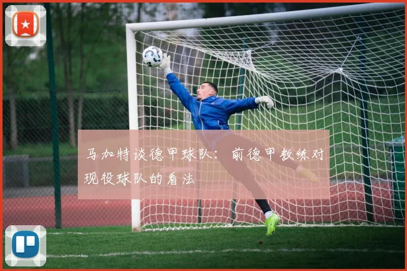 马加特谈德甲球队：前德甲教练对现役球队的看法