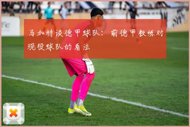马加特谈德甲球队：前德甲教练对现役球队的看法